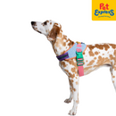 Zee.Dog Galaxy FlyHarness Dog Harness Size 5