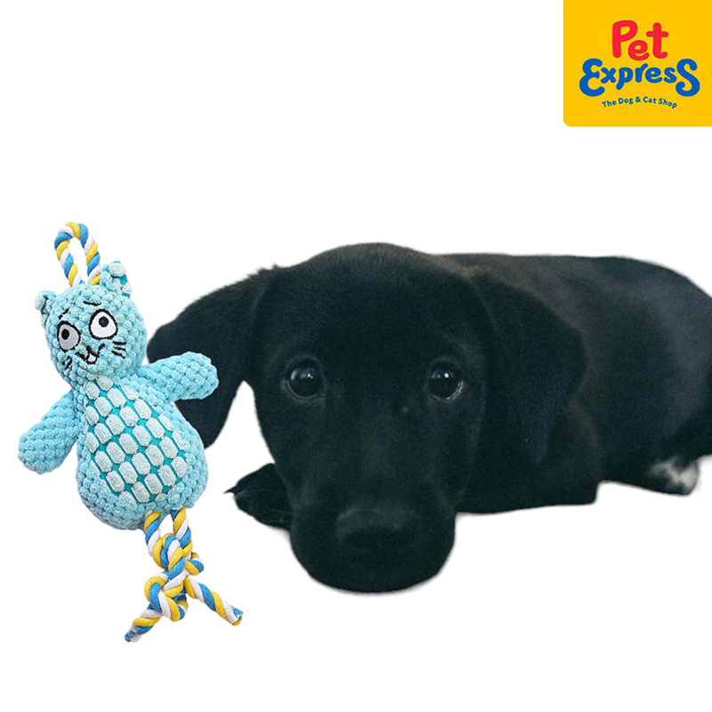 Approved Plush Blue Cat with Rope Dog Toy