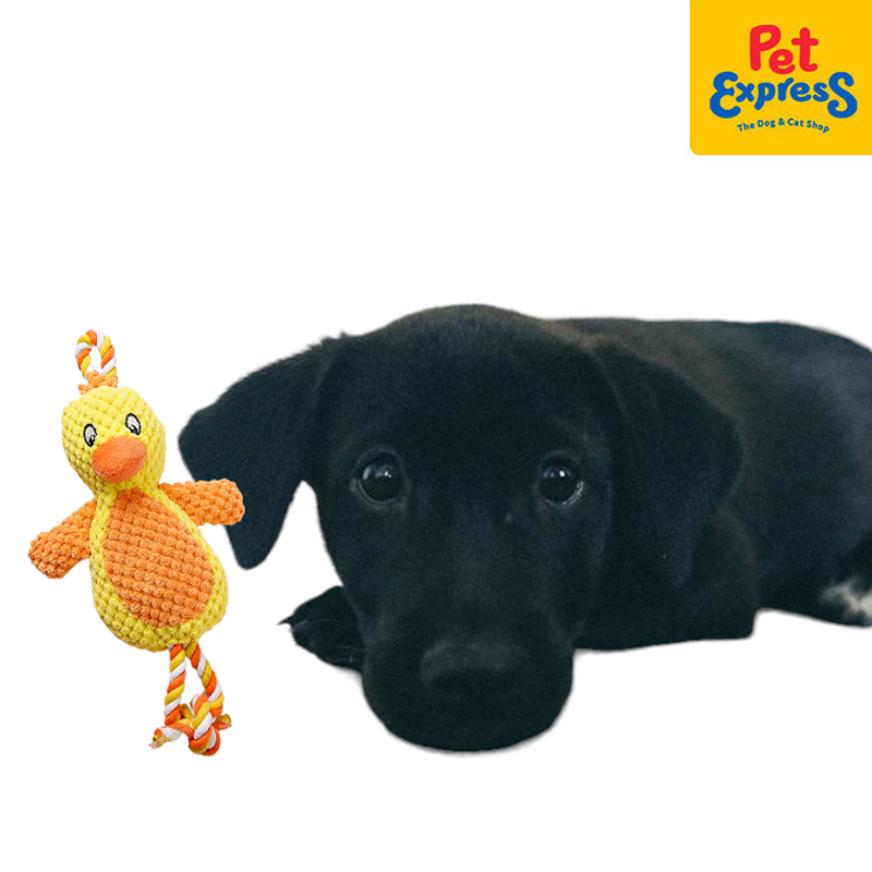 Approved Plush Yellow Bird with Rope Dog Toy