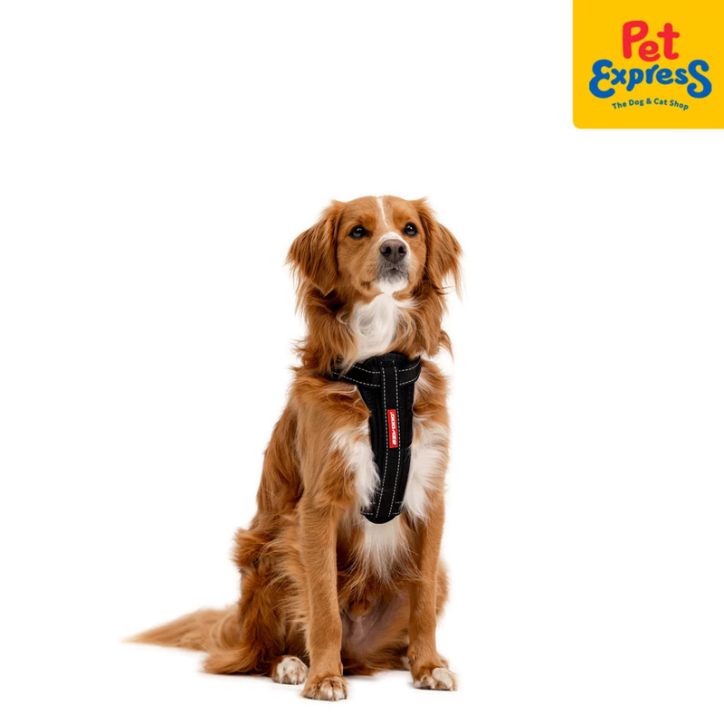 EzyDog Chest Plate Dog Harness Medium Black Denim
