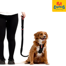 EzyDog Zero Shock Dog Leash 48 inches Black Denim