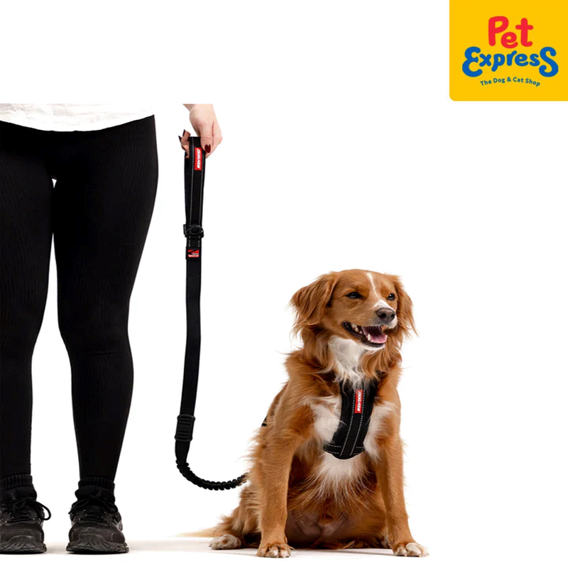 EzyDog Zero Shock Dog Leash 48 inches Black Denim