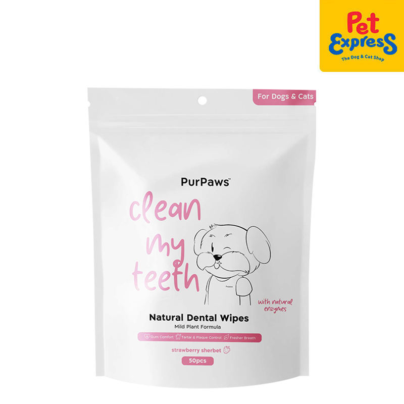 Buy Pet Oral Care Products Online | Pet Express