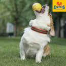 M-Pets Bloom Ball Dog Toy Yellow and Grey