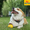 M-Pets Bloom Ball Dog Toy Yellow and Grey