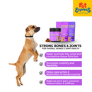Pet Logic Strong Bones and Joints Chicken Pet Supplement 120s 240g
