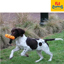 Bite Me Crack Me Up Loop Sensory Dog Toy Orange