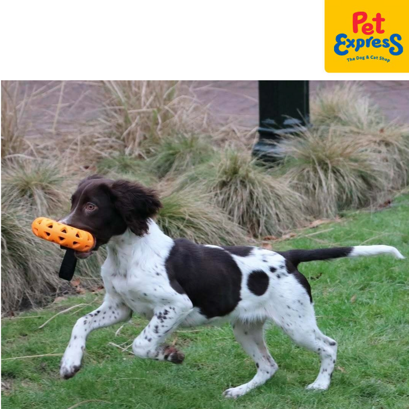 Bite Me Crack Me Up Loop Sensory Dog Toy Orange