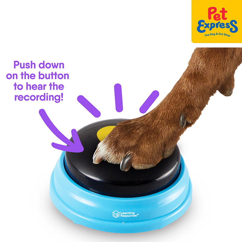 Talking Pet Essential Words Training Dog Toy