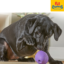 Brightkins Tough and Tumble Large Gnome Treat Dispenser Dog Toy