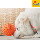 Brightkins Tough and Tumble Small Pufferfish Treat Dispenser Dog Toy