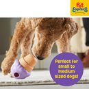 Brightkins Small Ice Cream Treat Dispenser Dog Toy