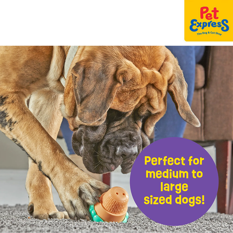 Brightkins Large Ice Cream Treat Dispenser Dog Toy