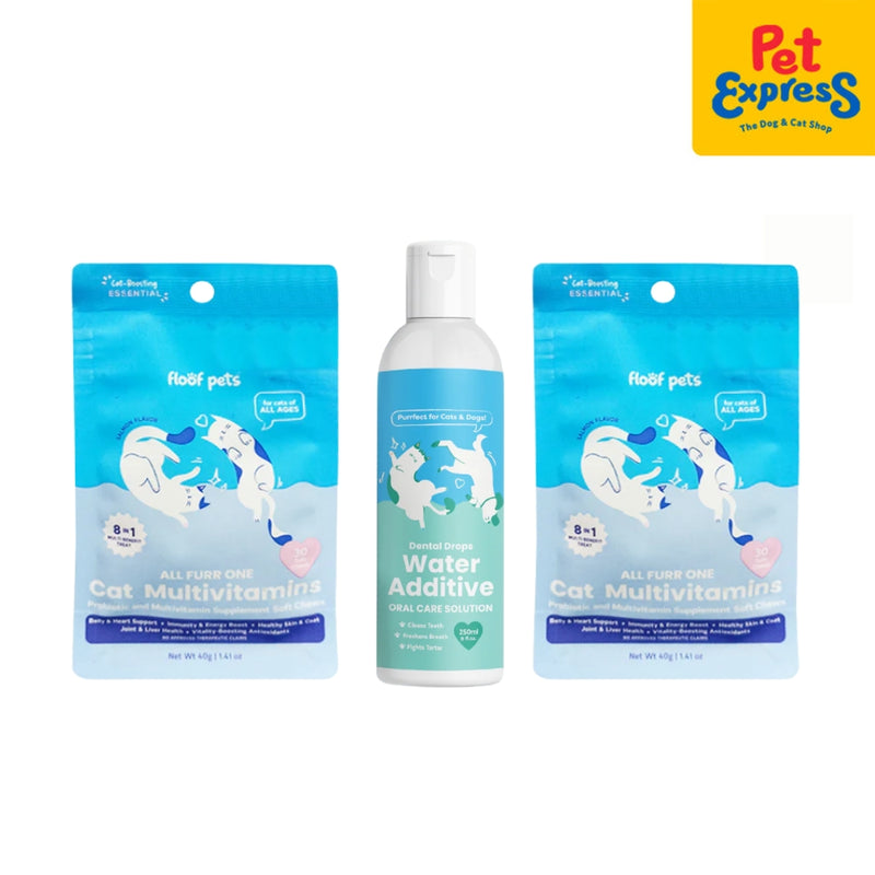 Floof Cat Supplement Christmas Box 2025