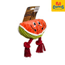 Playtime Watermelon Rope Dog Toy