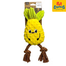 Playtime Pineapple Rope Dog Toy