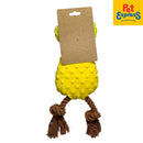 Playtime Pineapple Rope Dog Toy