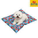 Pet Express Cooling Mat for Dogs and Cats Pet Bed Watermelon