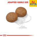 Royal Canin Size Health Nutrition Senior Maxi 5+ Dry Dog Food 4kg