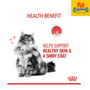 Royal Canin Feline Care Nutrition Adult Hair and Skin Wet Cat Food 85g (12 pouches)