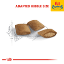 Royal Canin Feline Health Nutrition Senior Ageing 12+ Dry Cat Food 2kg