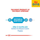 Royal Canin Size Health Nutrition Starter Mousse Mother and Babydog Wet Dog Food 195g (12 cans)