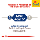 Royal Canin Size Health Nutrition Senior Maxi 5+ Dry Dog Food 4kg