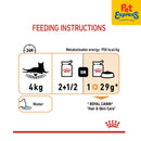 Royal Canin Feline Care Nutrition Adult Hair and Skin Wet Cat Food 85g (12 pouches)