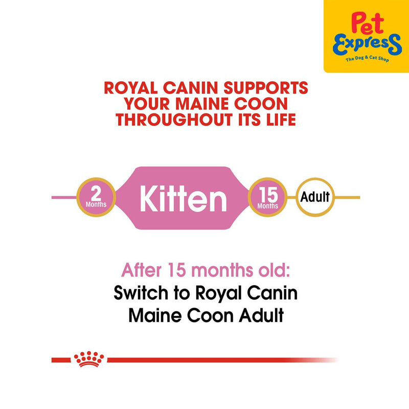 Royal Canin Feline Breed Nutrition Kitten Maine Coon Dry Cat Food 2kg