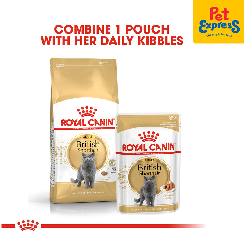 Royal Canin Feline Breed Nutrition Adult British Shorthair Dry Cat Food 2kg