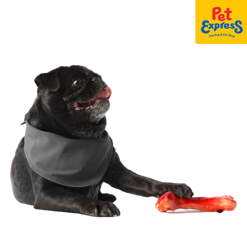 EzyDog Bones Chew Dog Toy Medium