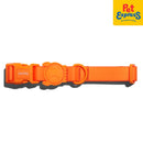 Zee.Dog Neopro Dog Collar Small Tangerine