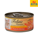 Feline Gourmet Tuna and Shrimp Wet Cat Food 80g (Single)