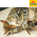 I Love Happy Cats Connor - Refill Set Prey Natural