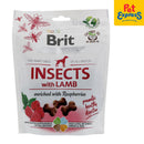 Brit Care Adult Lamb Crunchy Snack Insect Dog Treats 200g