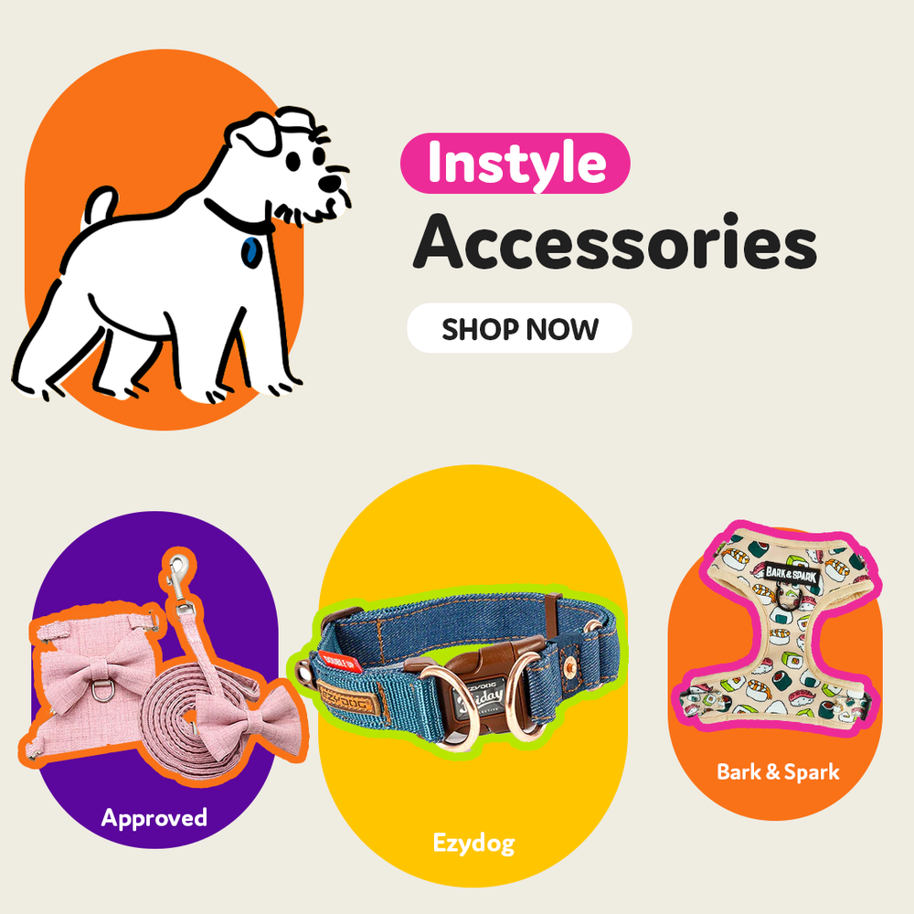 Pet Store In Philippines Treats for Dogs Cats Pet Express