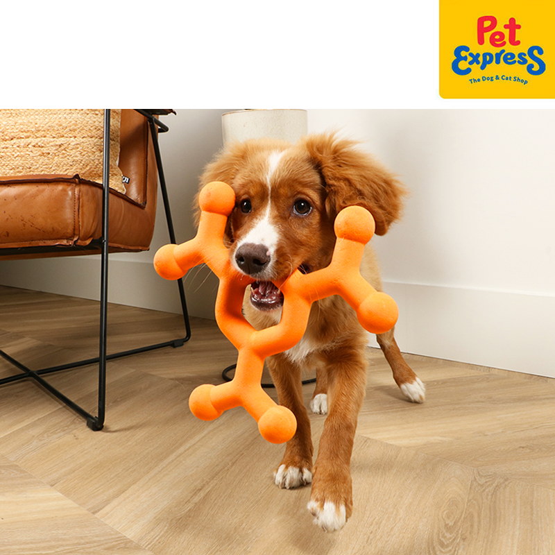 [FOR PRE-ORDER] Bite Me Dawg Science - Molecule Dog Toy Large Orange