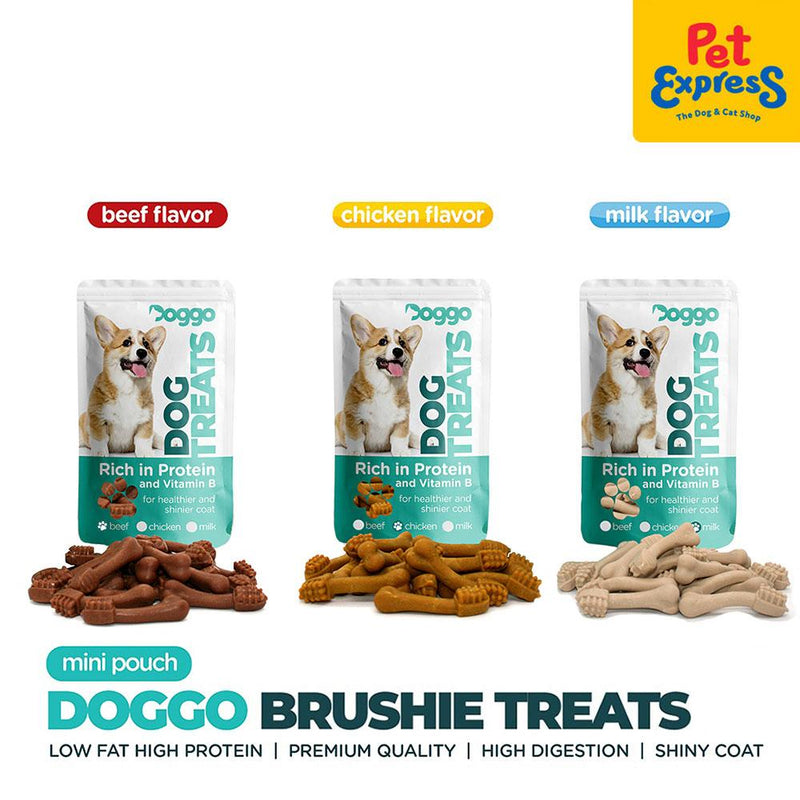 Doggo Brushie Chicken Dog Treats Mini Pouch 80g