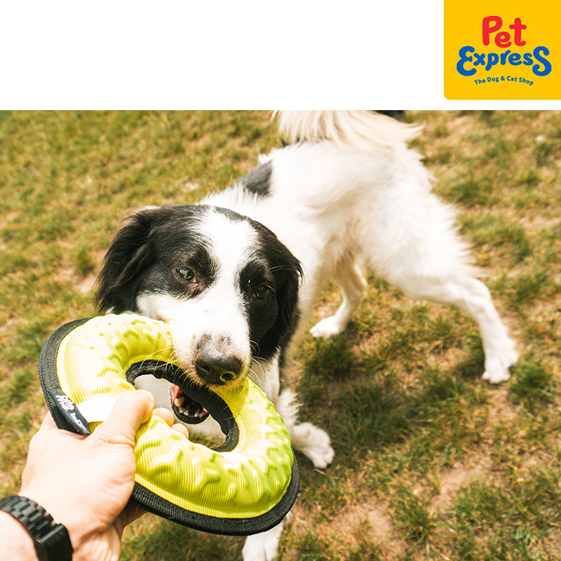 [FOR PRE-ORDER] Bite Me Tug-O-War - Loop Dog Toy Yellow Green