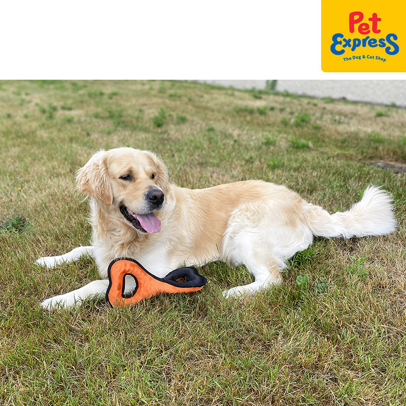 [FOR PRE-ORDER] Bite Me Tug-O-War - Twisted Dog Toy Orange