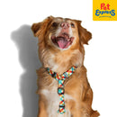 Zee.Dog Phantom Dog H-Harness Medium