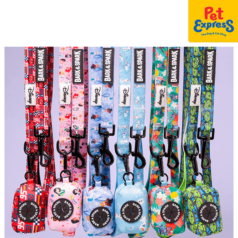 Bark and Spark Disney Princess Dancing Dog Leash Medium Yellow