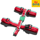 Zee.Dog Lola Dog H-Harness Large