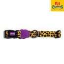 Zee.Dog Honey Dog Collar Extra Small