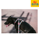 Zee.Dog Mahalo Dog H-Harness Extra Small