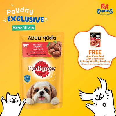 Pedigree Adult Beef Chunks in Gravy Wet Dog Food 130g (12 pouches)