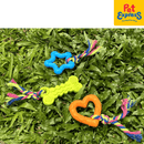 Lucky Dog Teething Star Dog Toy Blue