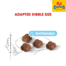 Royal Canin Feline Health Nutrition Mother and Baby Dry Cat Food 4kg