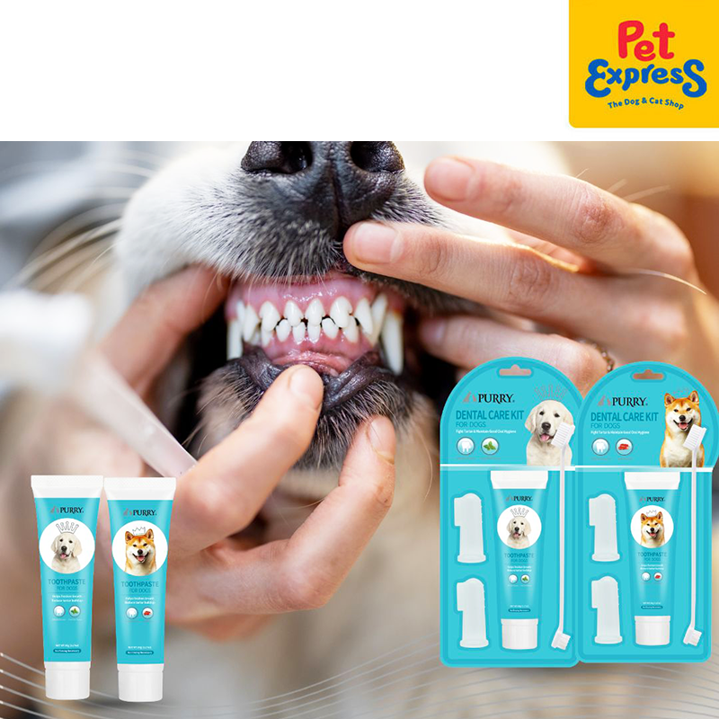 Purry Mint Toothpaste for Dogs 90g