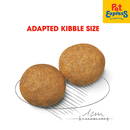 Royal Canin Size Health Nutrition Adult Medium Dry Dog Food 1kg